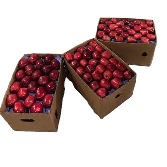 Red Apples Fresh Apples Red Delicious Apples From Our Gardens Maximum Crunchy Maximum Taste