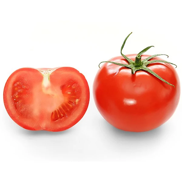 Fresh Red Tomato / Fresh Tomato from India / Fresh Green Tomatoes