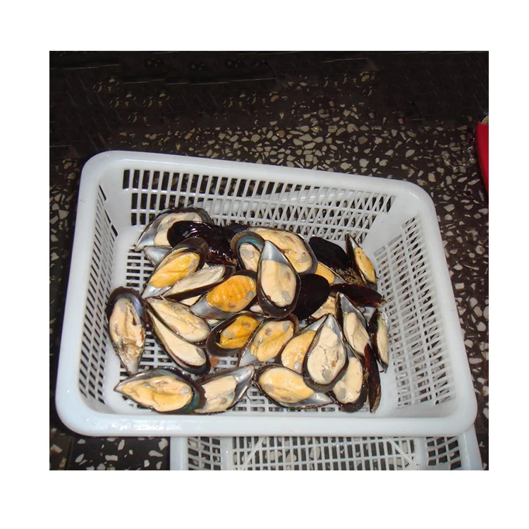 top Quality  seafood shellfish frozen half shell mussel or sale