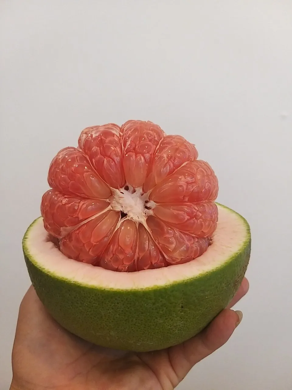 Vietnam Pomelo grapefruit best quality 2021 Contact +84932436968
