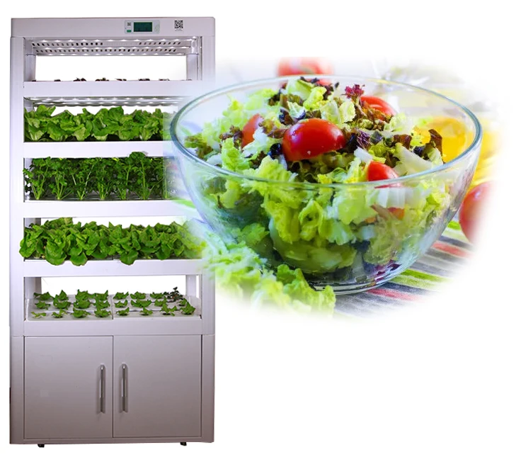 Hi-Tech Bluetooth Control Advanced NFT Growing System Grow Systems with Hydroponic Controller
