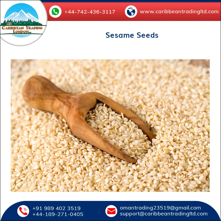 Натуральные белые семена кунжута Sortex Clean по оптовым ценам