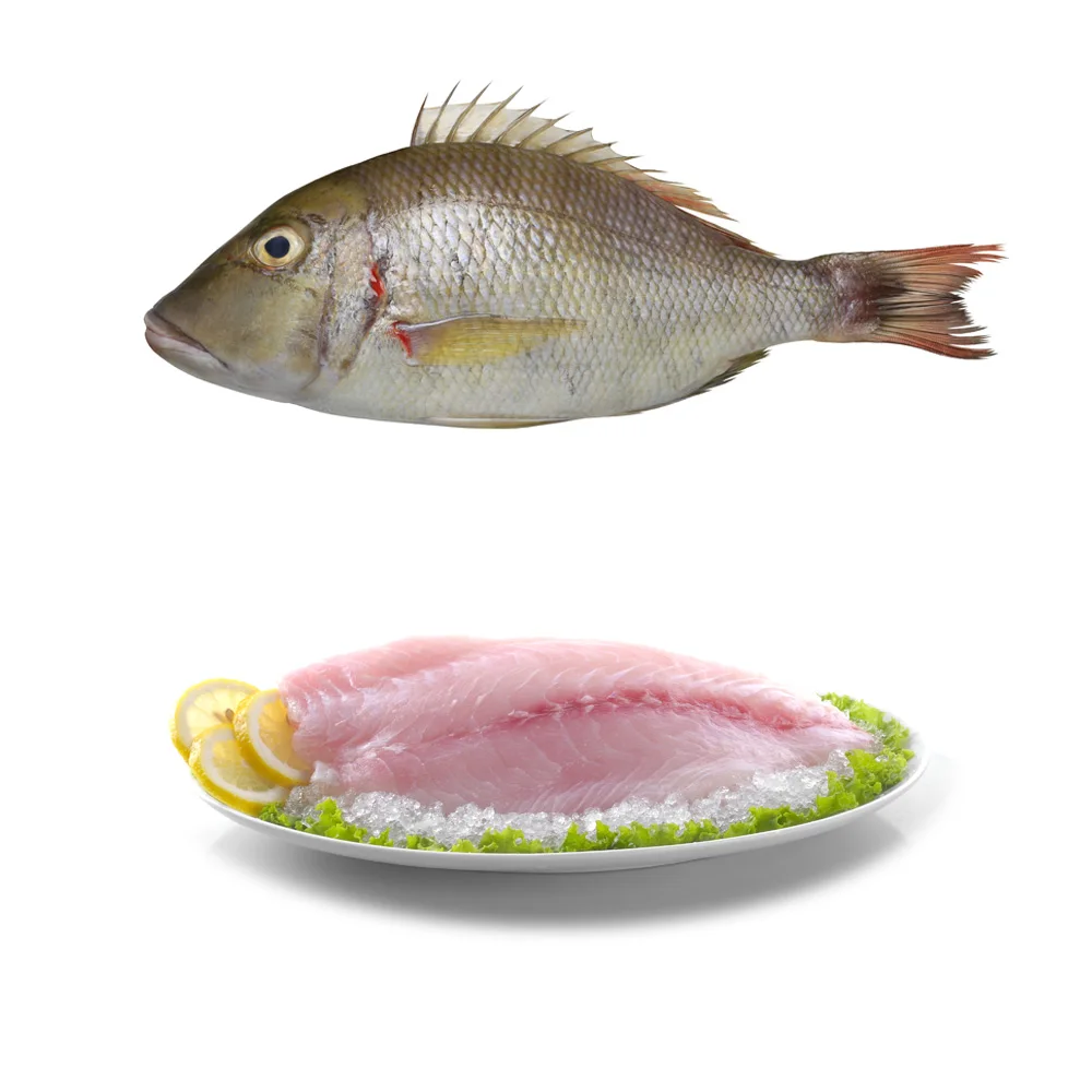 Wholesale Seafood Supplier Frozen Emperor Fish For Sale In Cheap Price