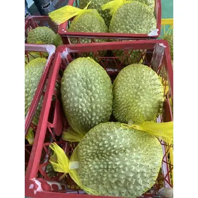 durians3.jpg