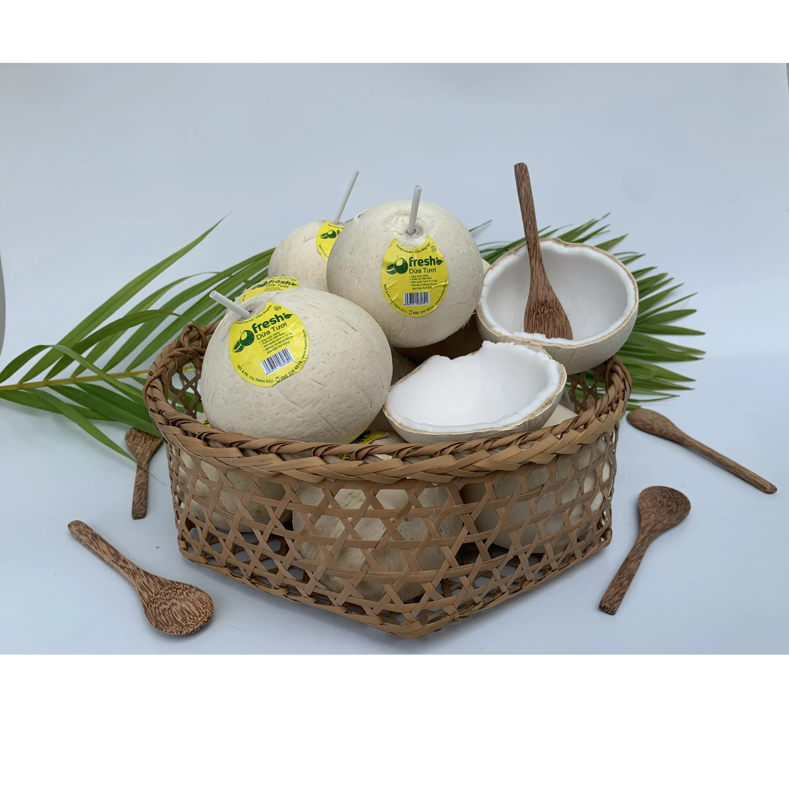 100% свежие кокосы дельта Меконга Вьетнам молодой кокос свежий удобный экспортер из