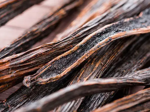 Wholesale Best Quality Vanilla Beans For Sale In Cheap Price