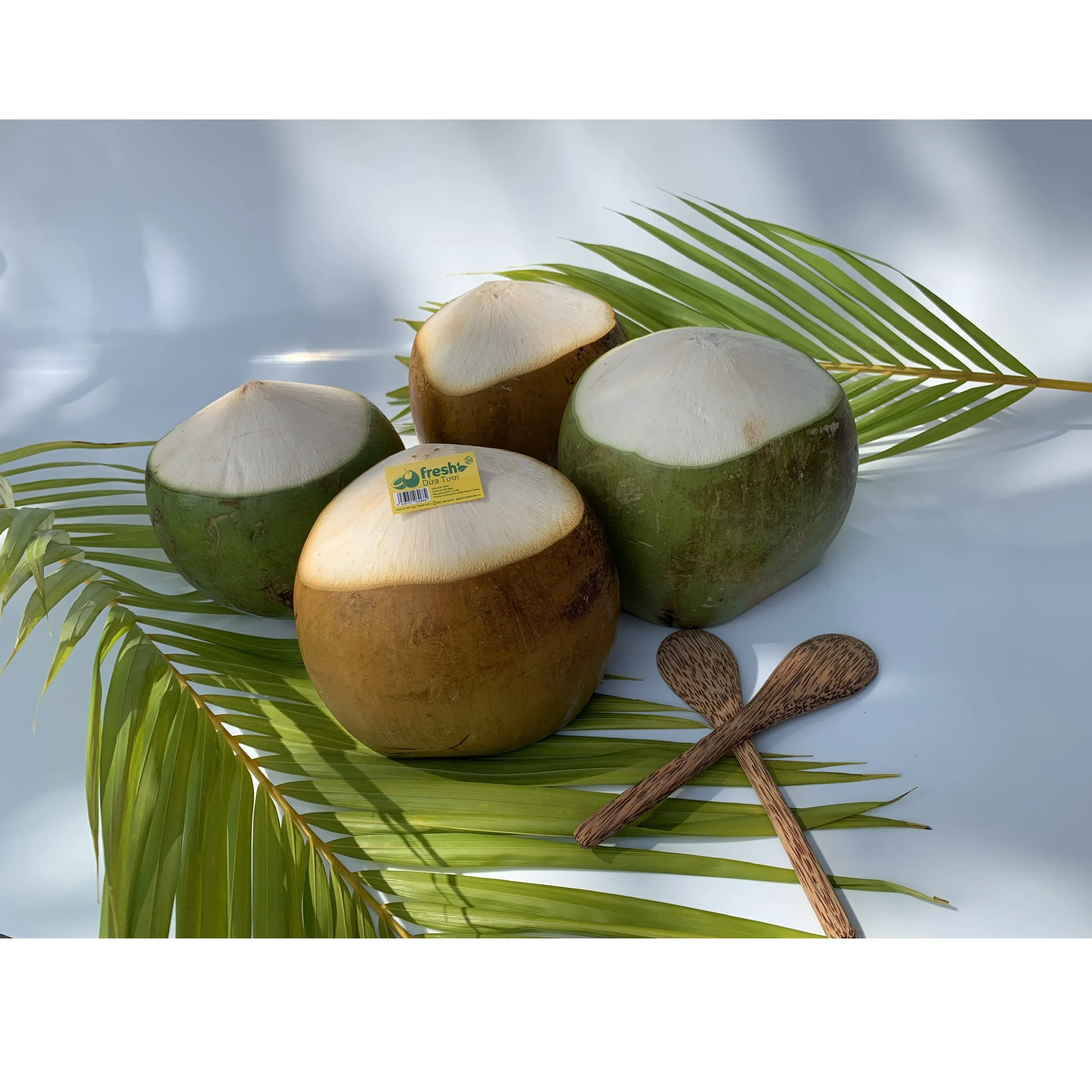 
Young Coconut Cling film wrap Packing Green or red Colours Hat Cut Shape Coconut expoter from Vietnam 