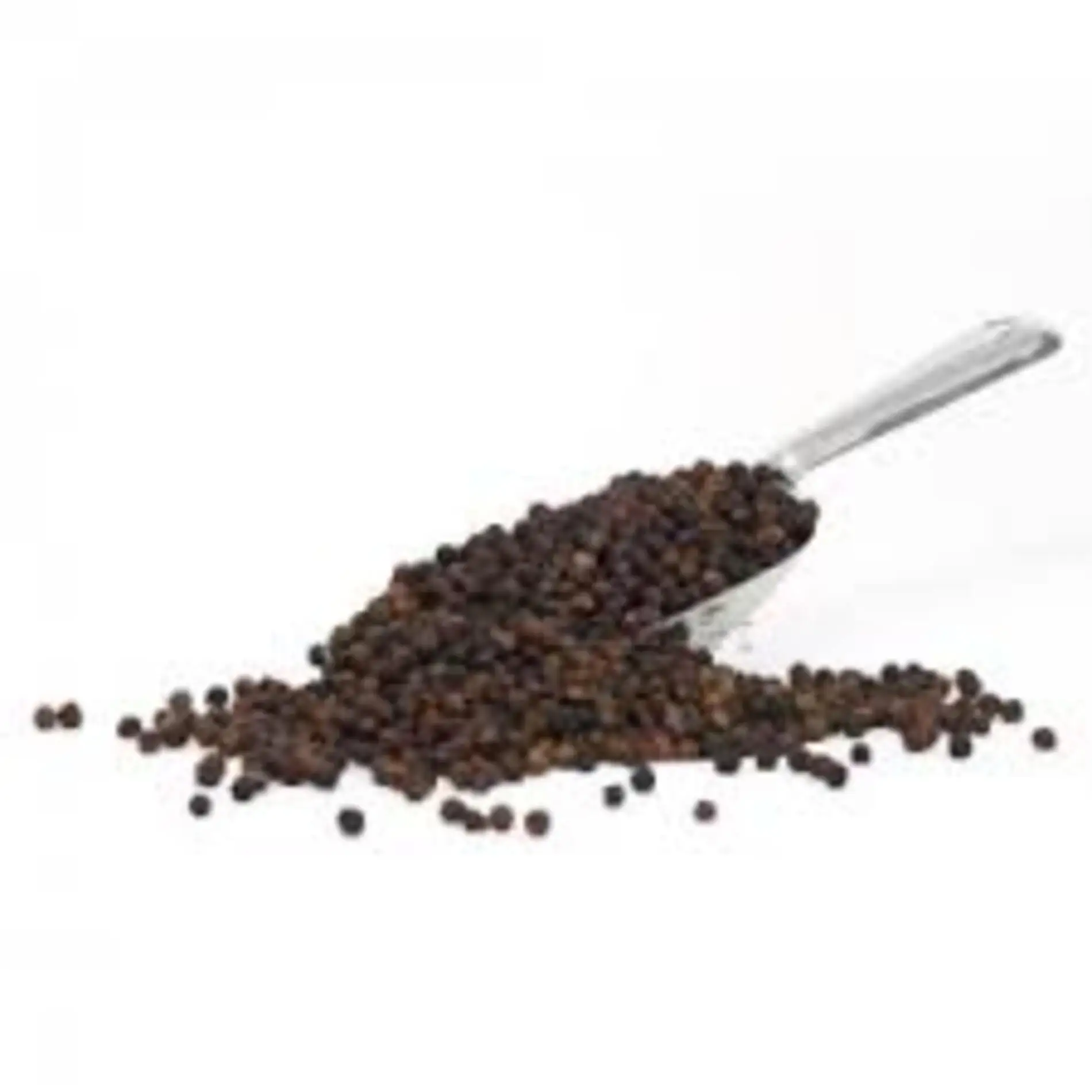 black pepper Export