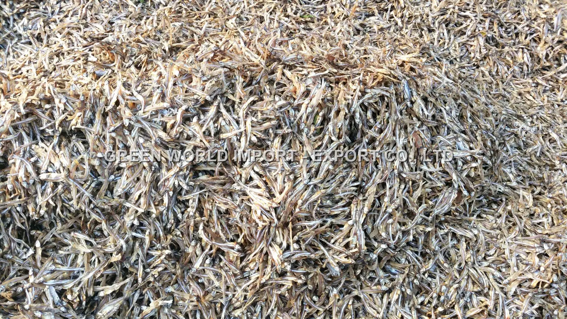 Самое исключительное предложение сушеной на Солнце рыбы анчоусов с высоким питанием-сухие анчоусы лучшего качества от вьетнамского поставщика