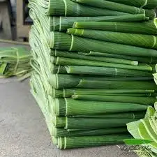 Замороженный свежий банановый лист для экспорта дешевая цена | Нил Конан