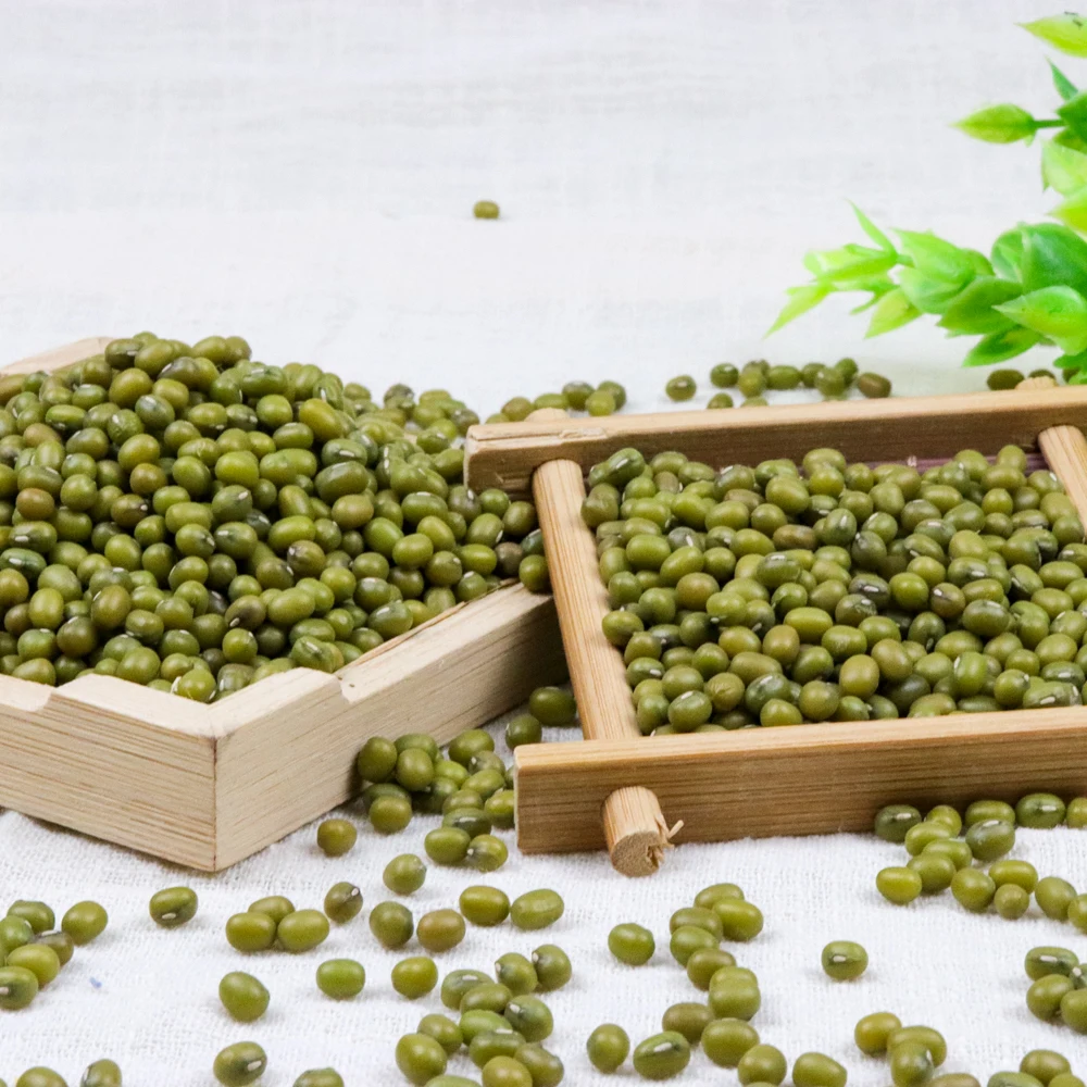 
Dal Mung Beans from China Grade a Green Max Pastel ALCHEMY Selected Crop Bulk Style Packaging Pack Newest Color Weight Machine 