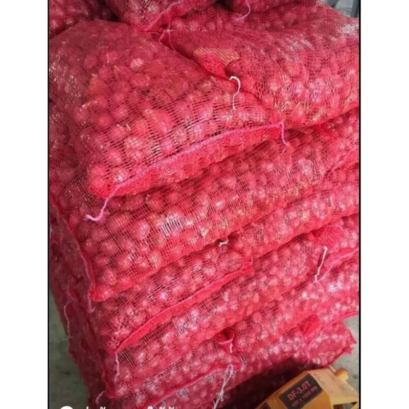 Свежий красный лук высокого качества по самой низкой цене из Таиланда