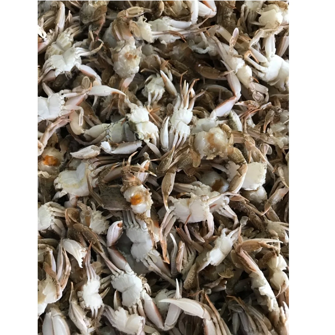 Хит продаж, свежие натуральные морепродукты без кожи, еда, воздушно-высушенные готовые крабы-пауки для приготовления пищи от частной торговой марки во Вьетнаме