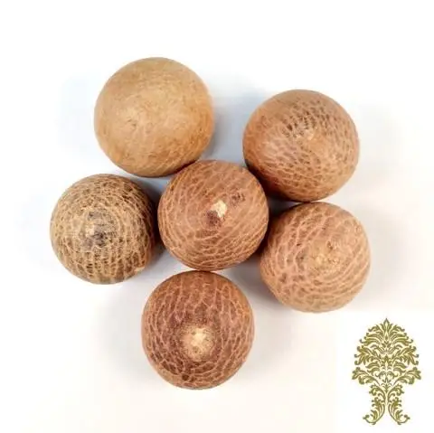 WHOLESALE BETEL NUT / PEELED BETEL NUT For Export