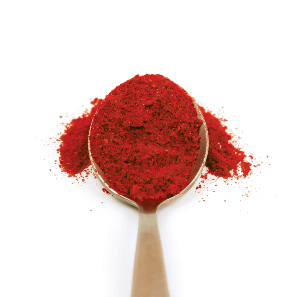 High Quality Wholesale Culinary Cooking Application Type Kashmiri Chilli Powder 500 G Origin From India