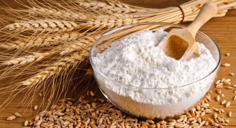 Лучшая итальянская пшеничная мука тип 00 для пиццы в ресторане Кейтеринг отель оптовая розничная продажа