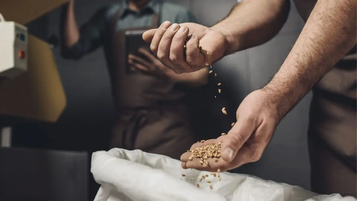 Tuscan Craft Beer Bitter Ale 75 cl Bottle Casalini Brewery Italian Craft Brewery Made in Italy Best Quality Beverage Bottle