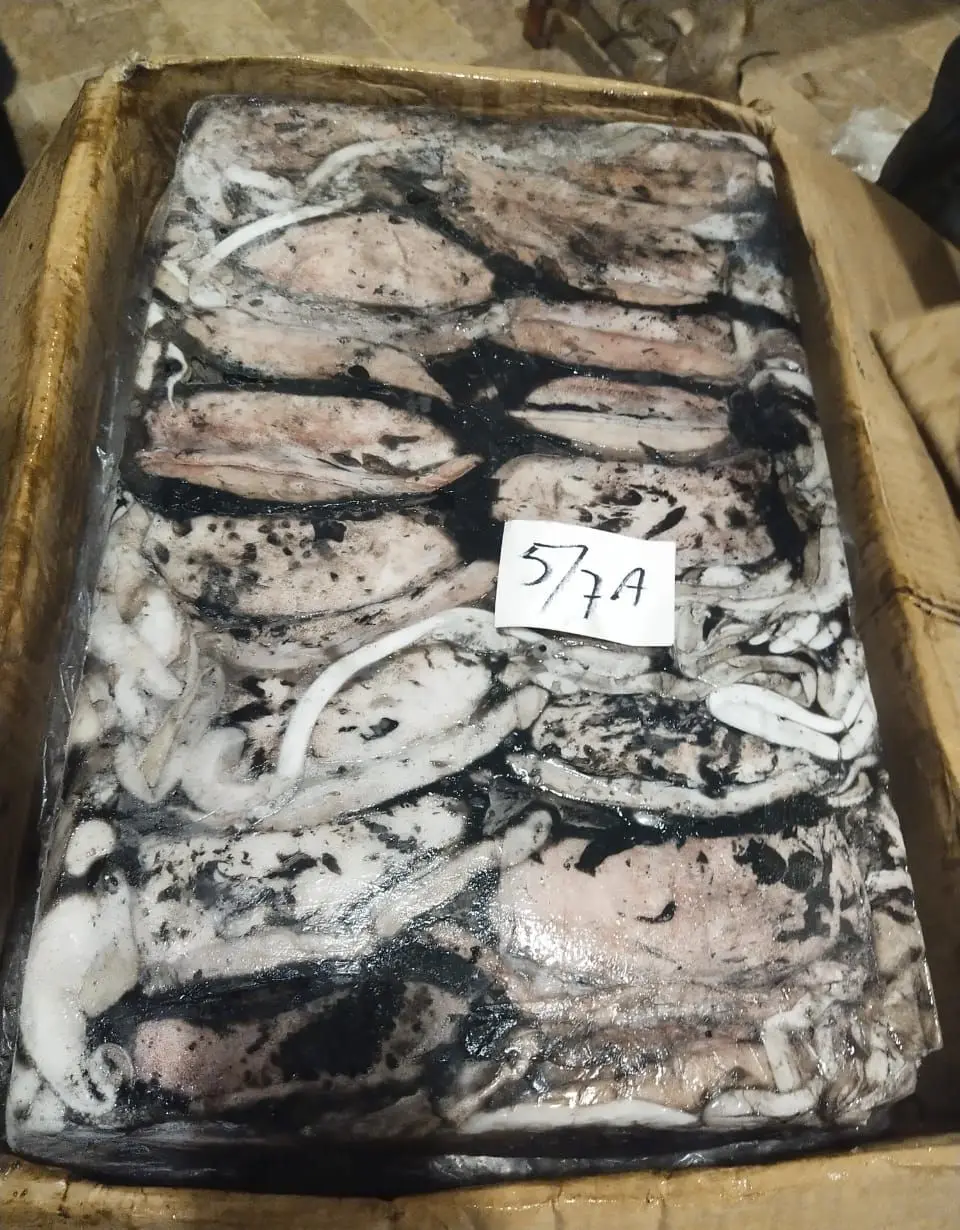 CuttleFish / Frozen Fresh Cuttlefish