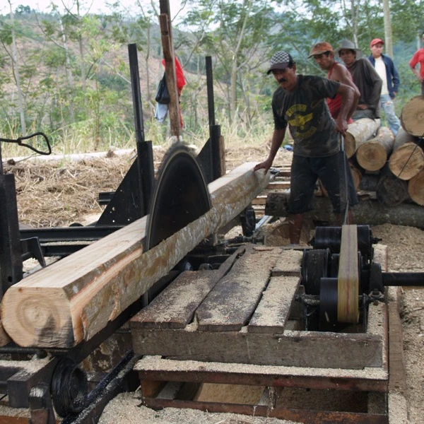 High quality Balsa from Ecuador forest highly recommended for propellers