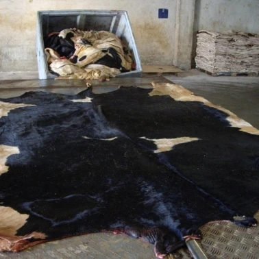 
salted cow hides Genuine Leather Dry And Wet Salted Donkey/Goat Skin /Wet Salted Cow Hides 