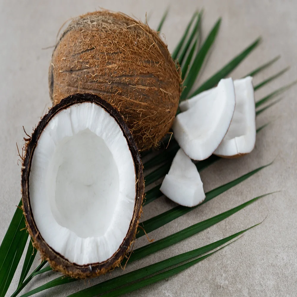 Fresh mature coconut in bag newly harvested made Viet Nam Phytosanitary Certification