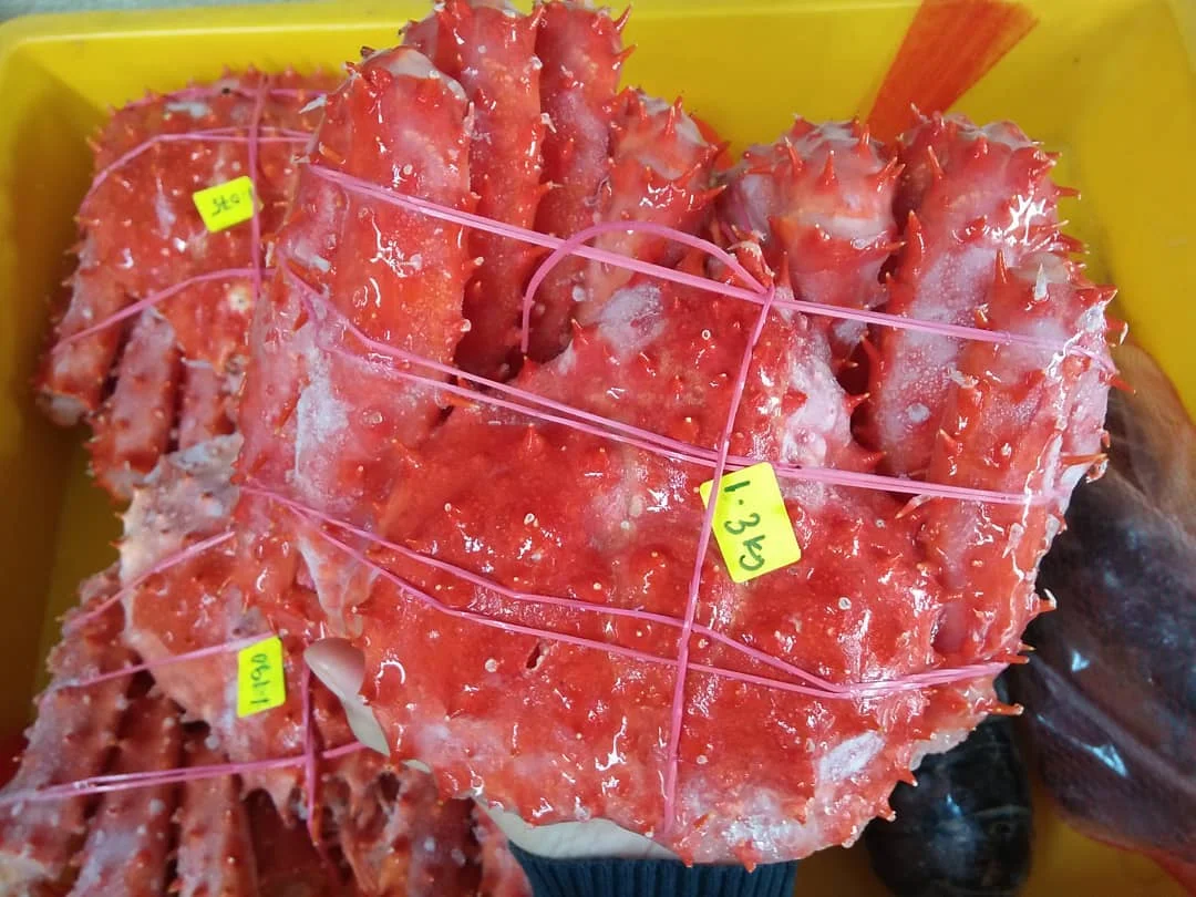 Свежий красный король Краб свежий/замороженный/живой крабы на продажу