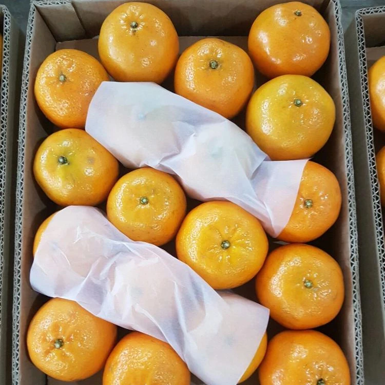 Fresh Organic Orange - A Grade Mandarin
