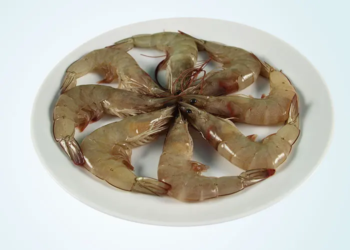 Wholesale High Quality Fresh Seafood Raw Vannamei Shrimp Made in Vietnam in stock on sale best for export