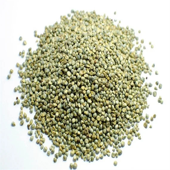 Wholesale Dried Organic Millet Seeds / Canadian Raw Millet Grains For Sale