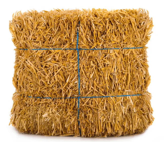 Prime Quality Wheat Straw Hay For Animal Fodder/Excellent Quality Yellow Straw Hay Export From Pakistan / Import Wheat Straw Hay