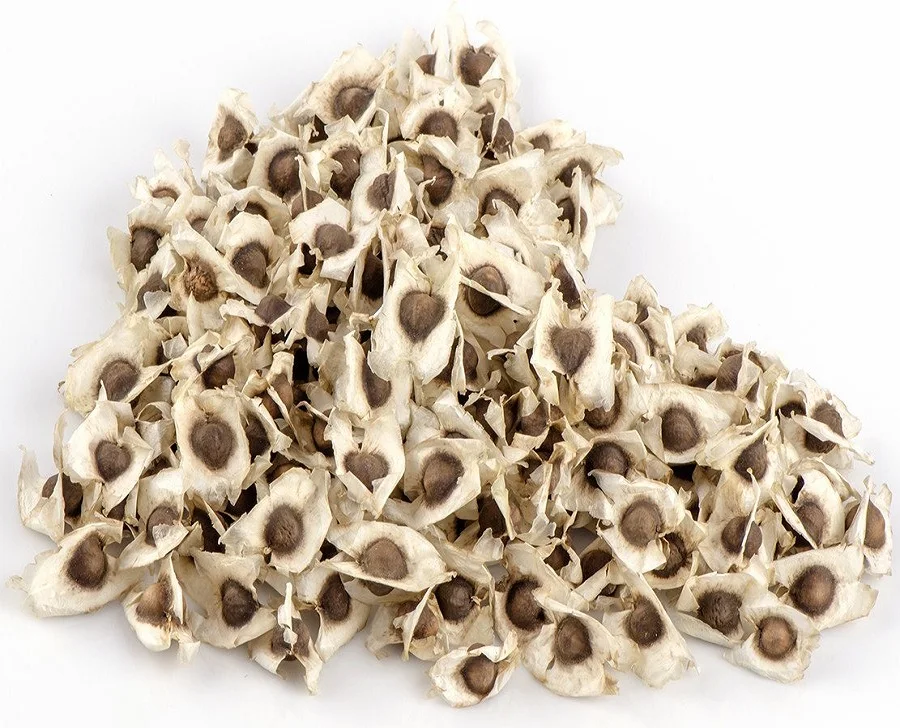 
Moringa Oleifera Seeds / Moringa Seeds Best Price 