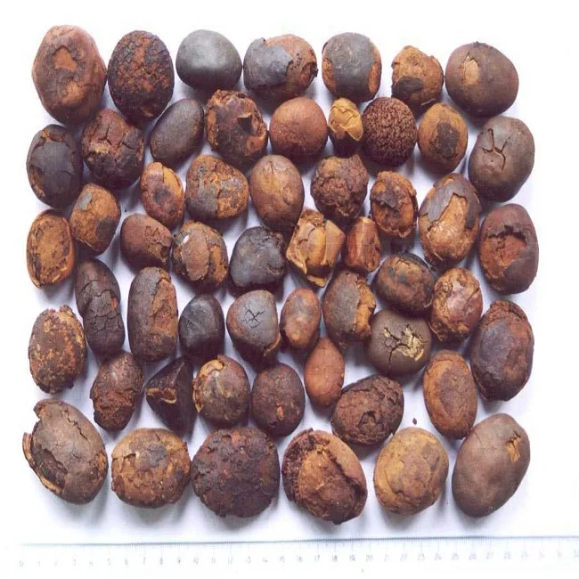 
Natural Bezoar (Gallstone) , Cow Bezoar Gallstones 