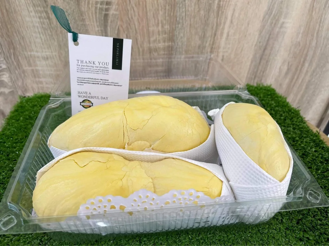Fresh Durian Sweet Taste 500g Per Pack 100% Natural Premium Quality Durian From Thailand