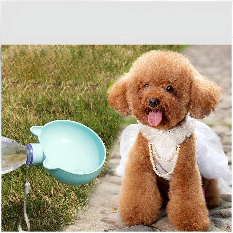 Outdoor pet plastic bowl food feeder dish portable