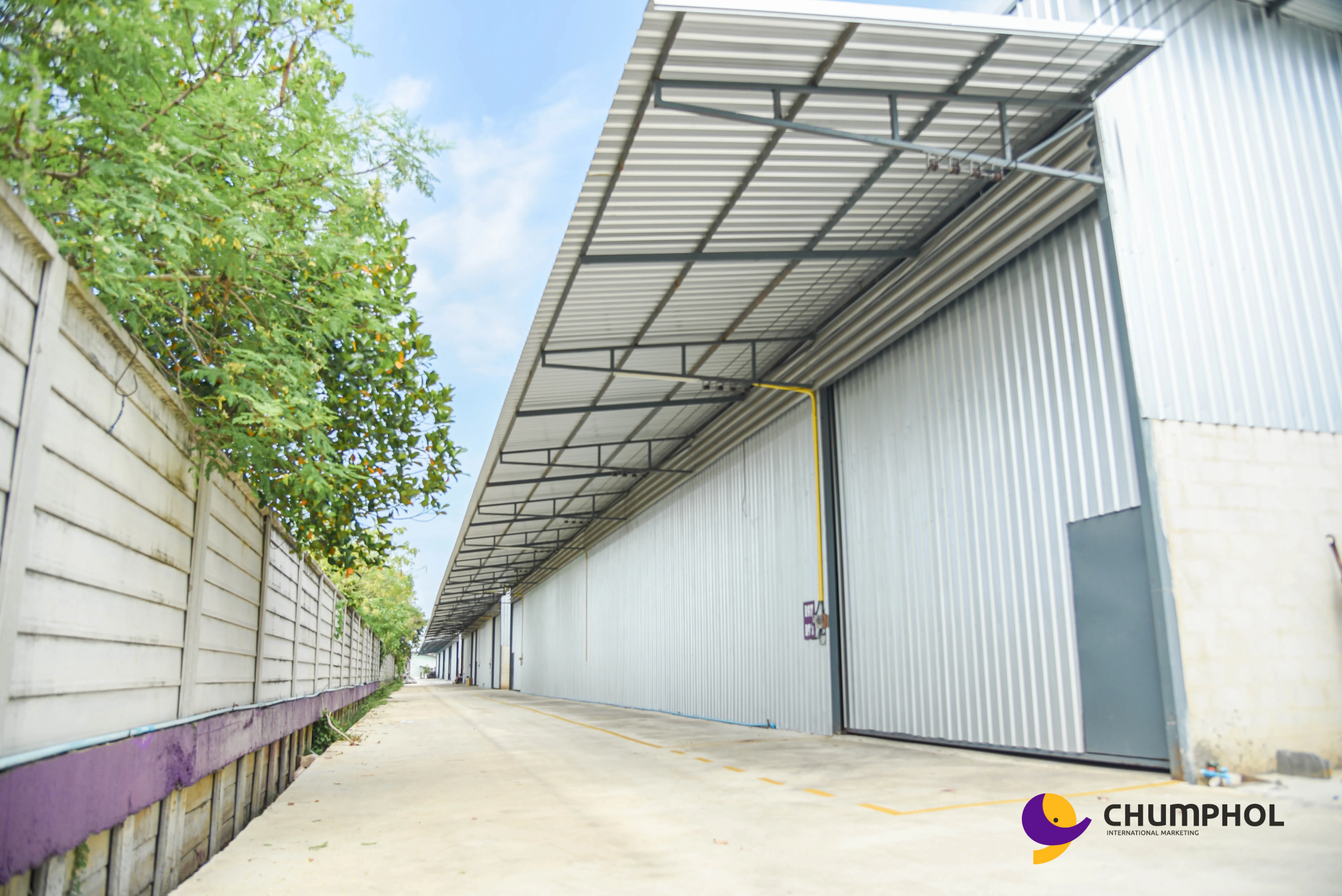 
High Raise Space Rent A Warehouse Land Steel Structure House Klong 5 Place In Thailand 