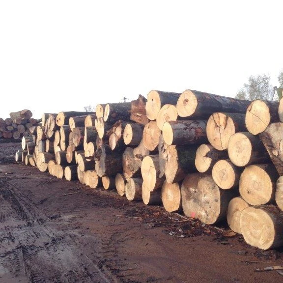 
Teak Wood and Tali Wood Logs 