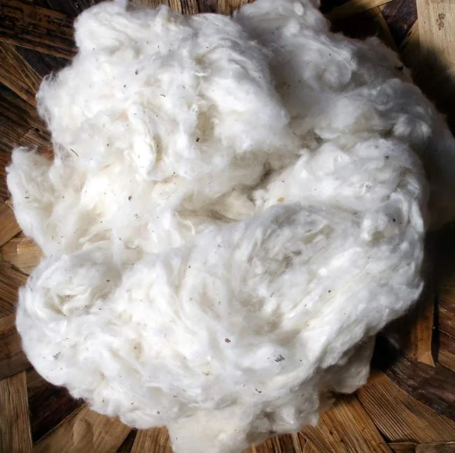 raw cotton (1).png