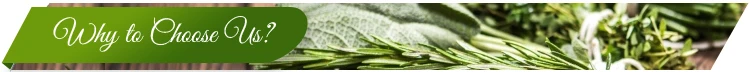 Why-Choose-us.jpg