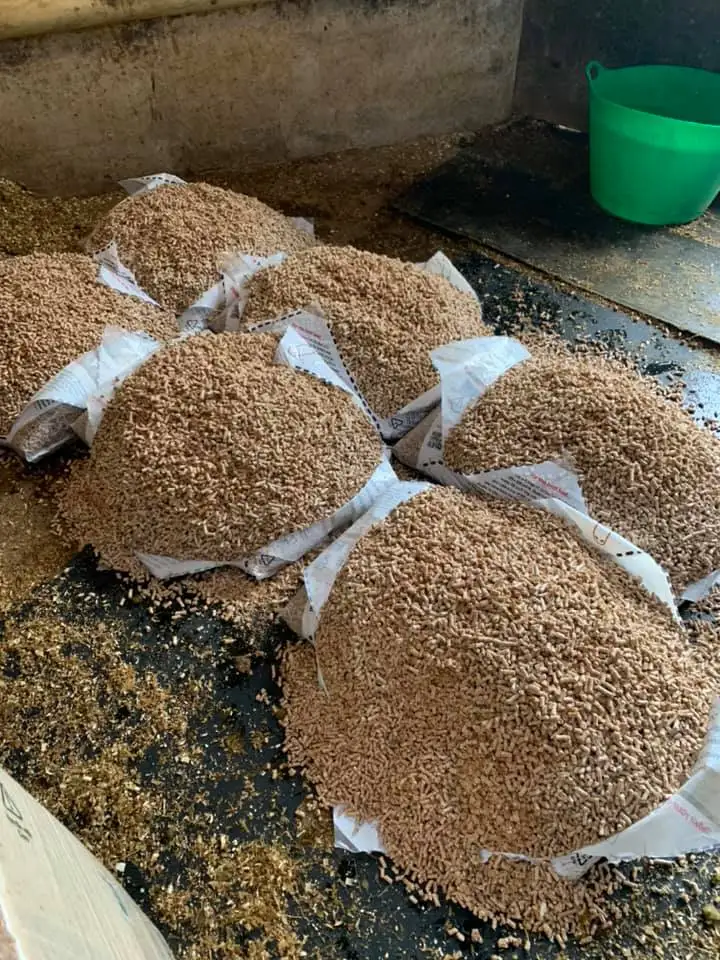 Nice cheap Stick Shape Wood Pellets Pelet Pallet / Pine Wood Pellets 15kg Bags (Din Plus / EN Plus )