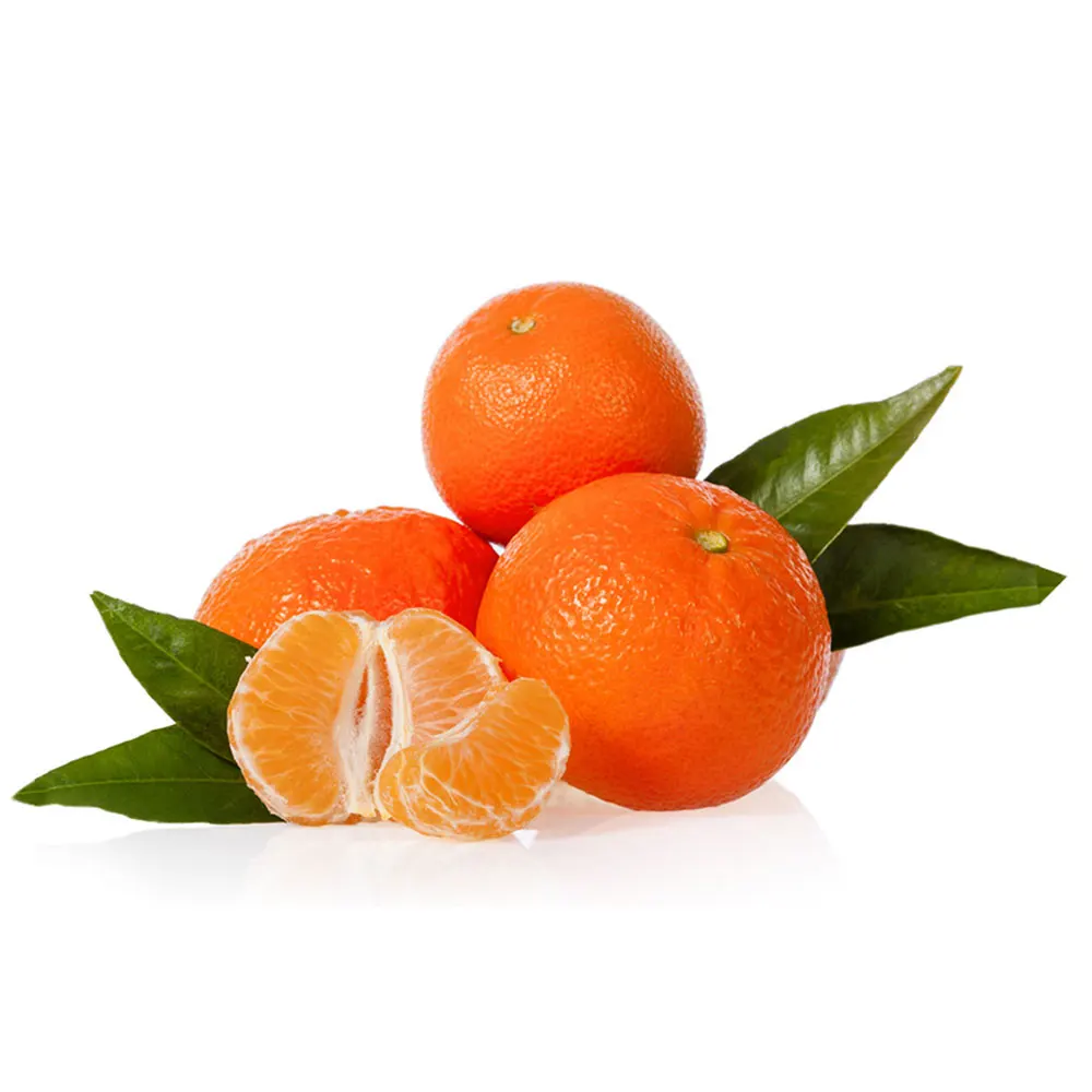 100% Pure Natural Fresh Mandarin Orange / Pakistan Made Hot Sale Best Fresh Mandarin Orange At Very Low Price