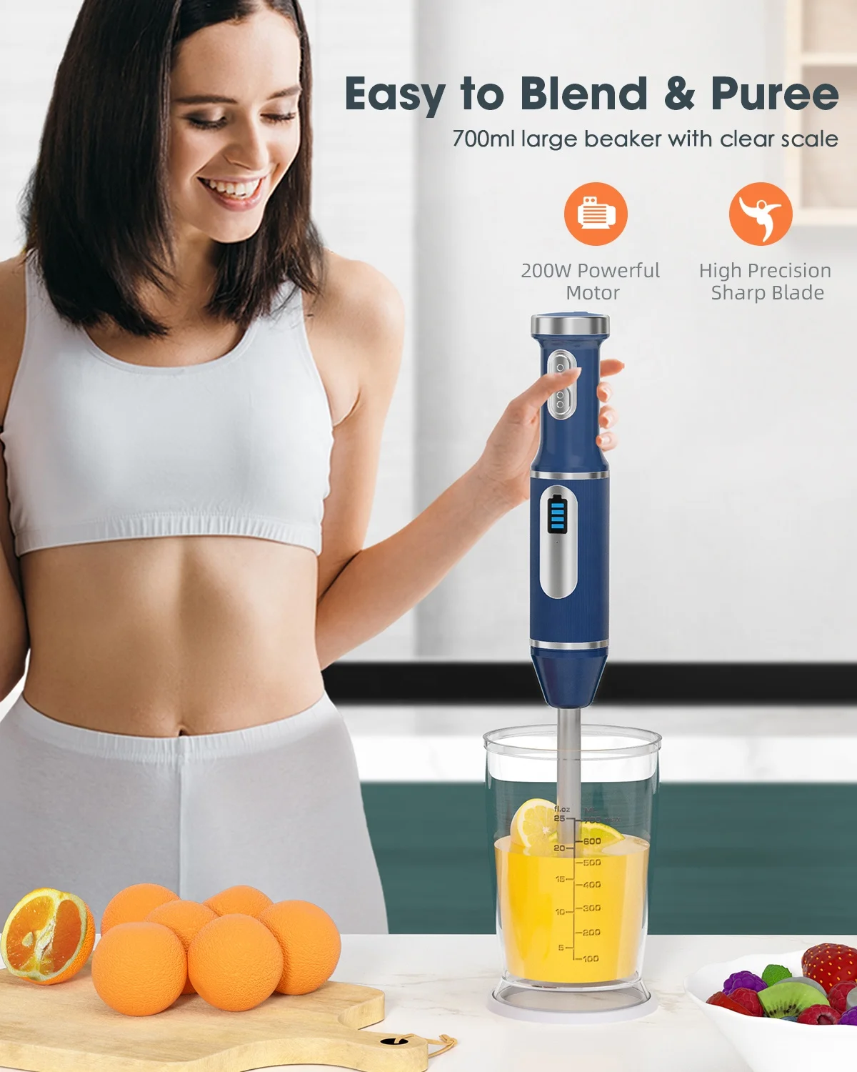 Manufacturer Direct Battery Operated 200W Multi Purpose Portable Hand Blender 12v DC Blender Blender Electric Mixer