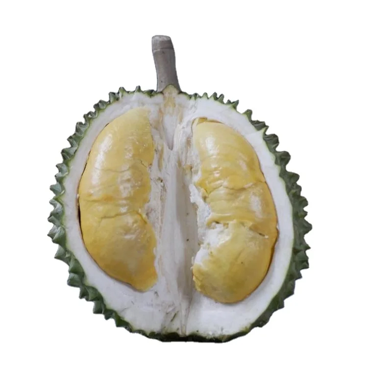 
High Quality Fresh Durian Mon thong Golden Pillow Durian Thailand 
