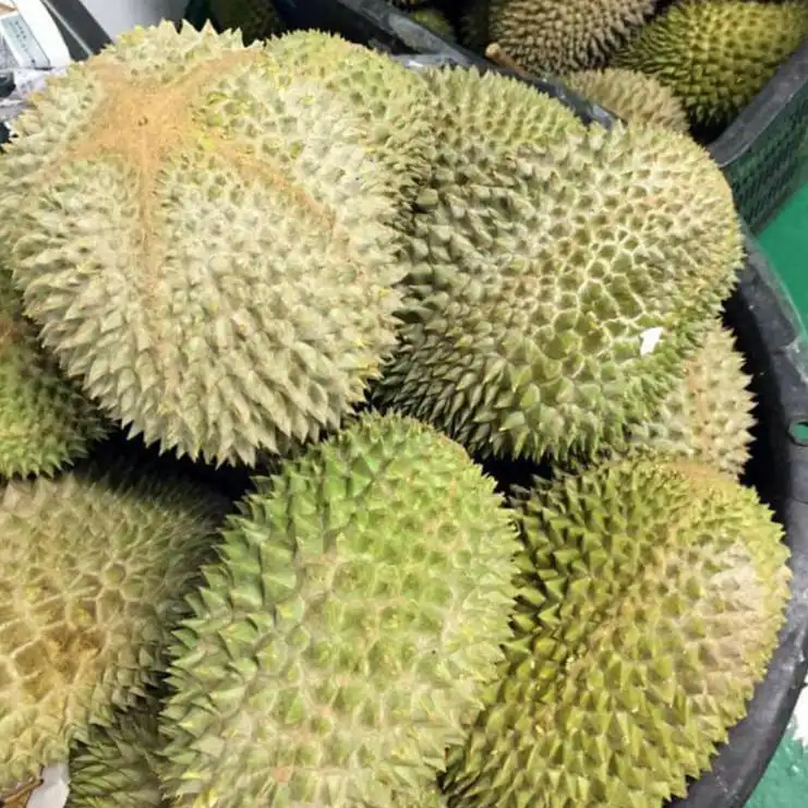 Лучшая цена Премиум свежий Ri6 King Durian из Вьетнама/MS KATHY + 84 896650714