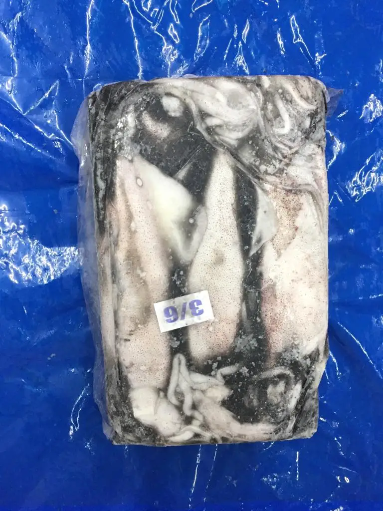 Замороженный лолиго кальмар из Индии замороженный блок