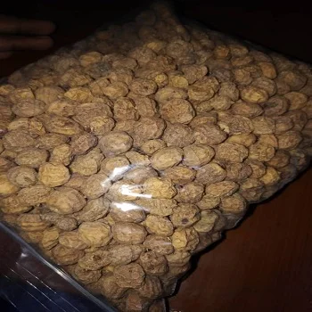 High quality natural  tiger nuts for export