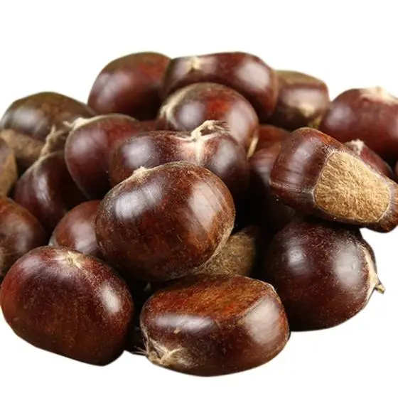 
Wholesale Healthy Roasted Chestnuts for Sale 