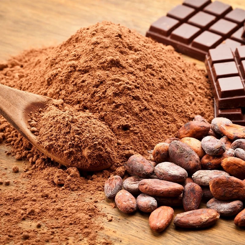 Cheap Rate Wholesale Best Cocoa Beans For Sale In bulk