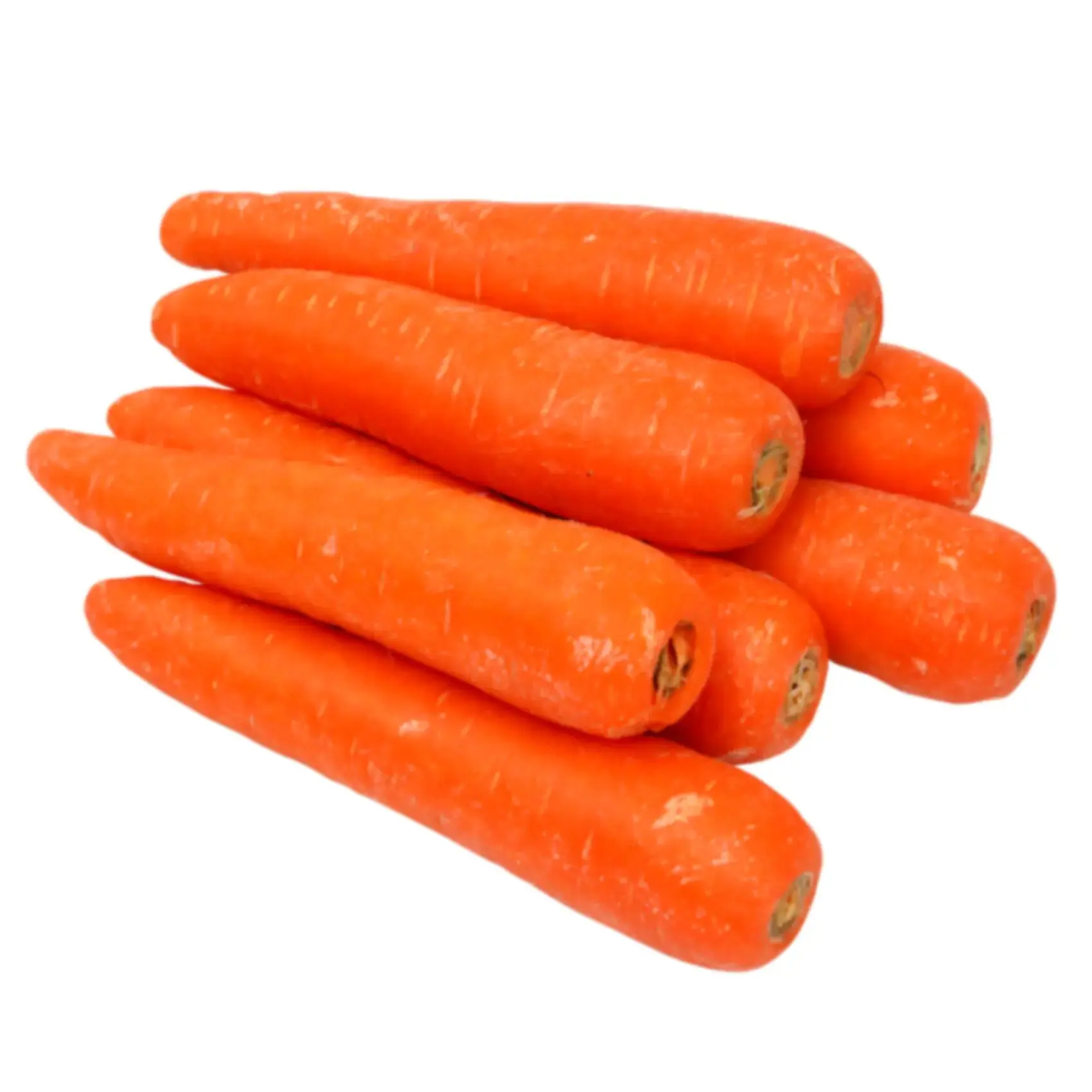 Red orange color Carrot