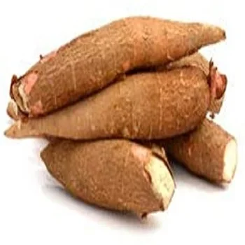 
White Common cassava for slaee 