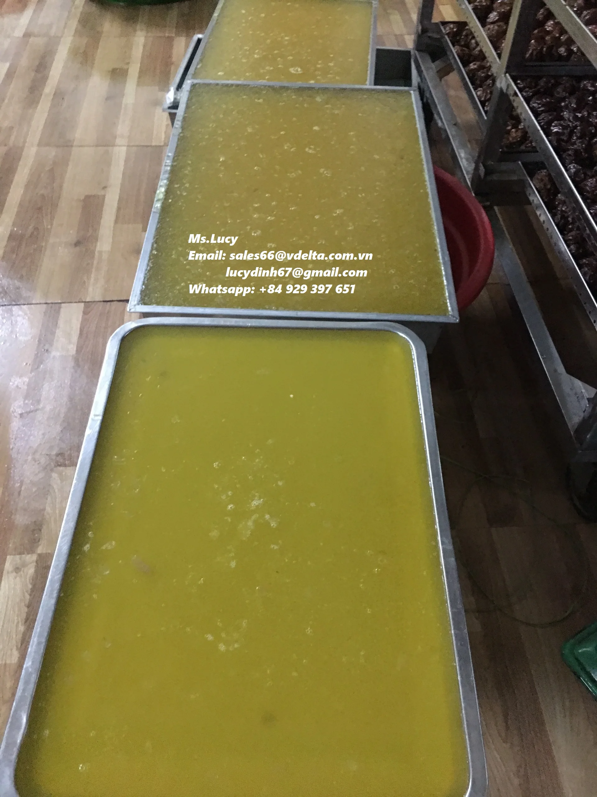  Органический и полезный морской Мох/ирландские жевательные резинки из Вьетнама (г-жа Люси + 84 929 397 651)